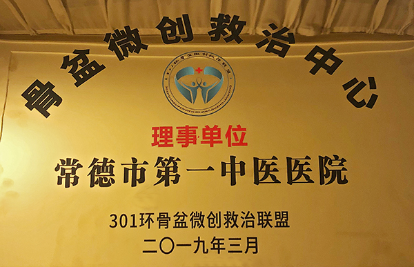 骨盆獎(jiǎng)牌.jpg
