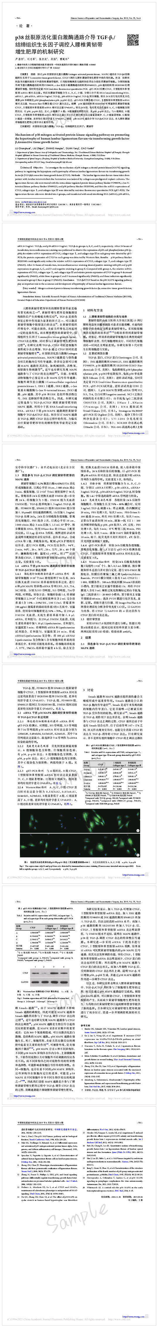 p38 絲裂原活化蛋白激酶通路介導(dǎo) TGF-β1.png
